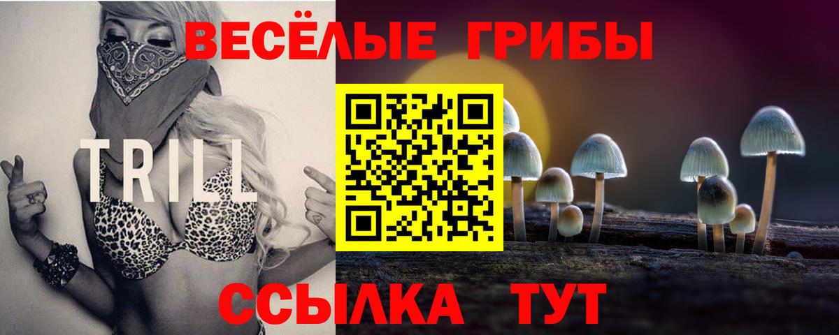 Галлюциногенные грибы MAGIC MUSHROOMS  Вход с VPN  Тулун  Галлюциногенные грибы ЛСД 