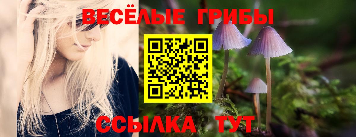 Галлюциногенные грибы GOLDEN TEACHER Тулун